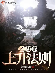 《乙女的上升法则》小说封面