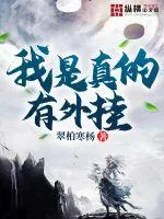 《我是真的有外挂》小说封面