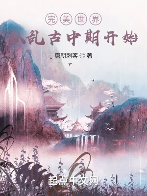 《完美世界:从乱古中期开始》小说封面