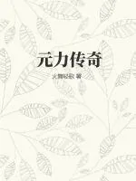 《元力传奇》小说封面