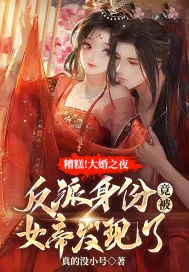 《糟糕!大婚之夜,反派身份竟被女帝发现了》小说封面