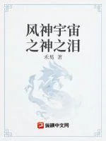 《风神宇宙之神之泪》小说封面