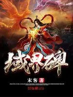 《域界碑》小说封面