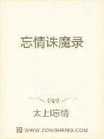 《忘情诛魔录》小说封面