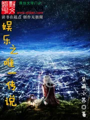 《娱乐之唯一传说》小说封面