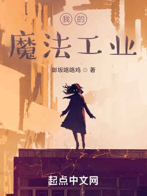 《我的魔法工业》小说封面