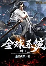 《全球系统时代》小说封面