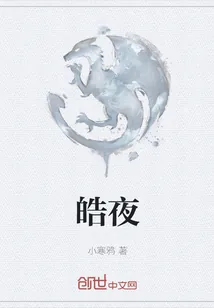 《皓夜》小说封面