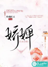 《娇婢》小说封面