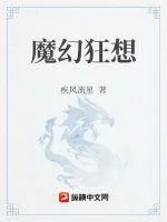 《魔幻狂想》小说封面