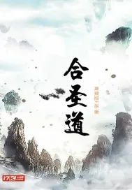 《合圣道》小说封面