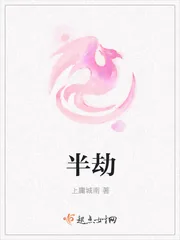 《半劫》小说封面