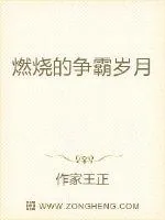 《燃烧的争霸岁月》小说封面