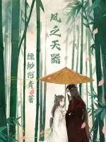 《风之天器》小说封面