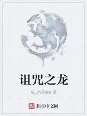 《诅咒之龙》小说封面
