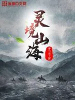 《灵境山海》小说封面