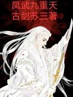 《凤武九重天》小说封面