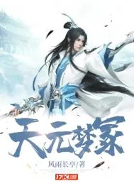 《天元梦冢》小说封面