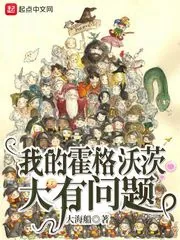 《我的霍格沃茨大有问题》小说封面