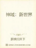 《神域：新世界》小说封面