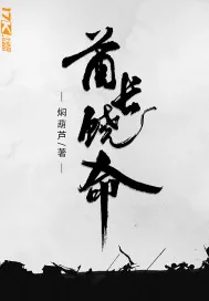 《酋长饶命》小说封面