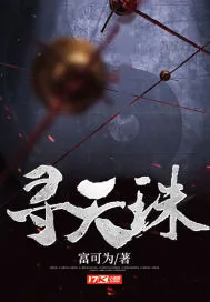 《寻天珠》小说封面