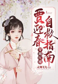 《穿越红楼贾迎春自救指南》小说封面