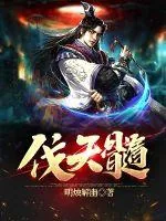 《伐天髓》小说封面