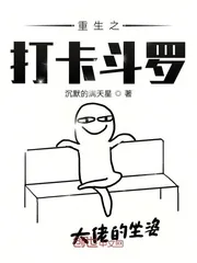 《重生之打卡斗罗》小说封面