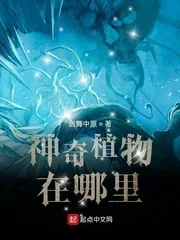 《神奇植物在哪里？》小说封面