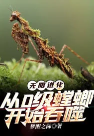 《无限进化:从0级螳螂开始吞噬》小说封面