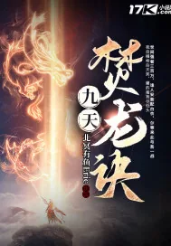 《九天焚龙诀》小说封面