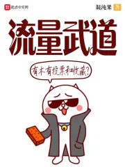 《流量武道》小说封面