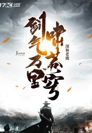 《剑气万里啸苍穹》小说封面