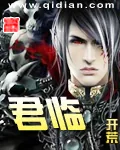 《君临》小说封面