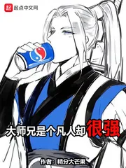 《大师兄是个凡人却很强》小说封面