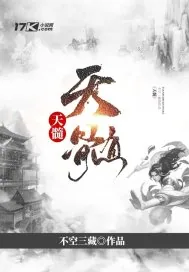 《天髓之斗战四野》小说封面