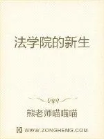 《法学院的新生》小说封面