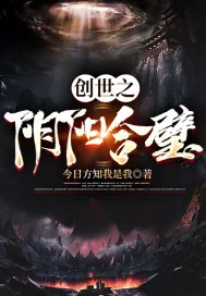 《创世之阴阳合璧》小说封面