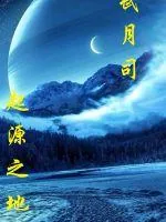 《起源之地之武月司》小说封面