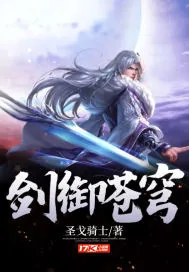 《剑御苍穹》小说封面