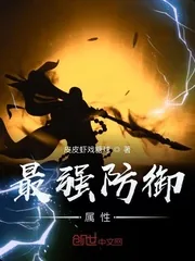《最强防御属性》小说封面