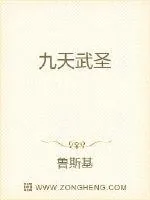 《九天武圣》小说封面