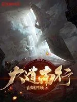 《大道南行》小说封面