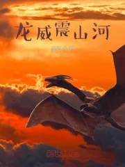 《龙威震山河》小说封面