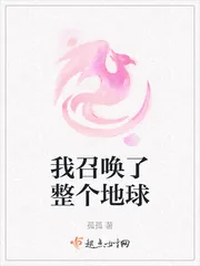 《我召唤了整个地球》小说封面