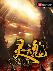 《灵魂订造师》小说封面