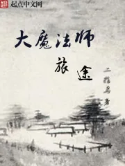 《大魔法师旅途》小说封面