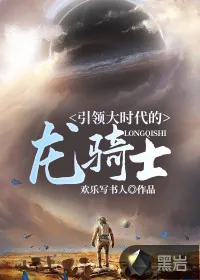 《引领大时代的龙骑士》小说封面