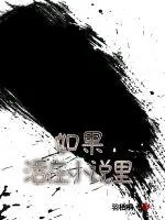 《如果活在小说里》小说封面